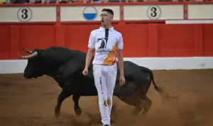 Camisetas de toros personalizadas