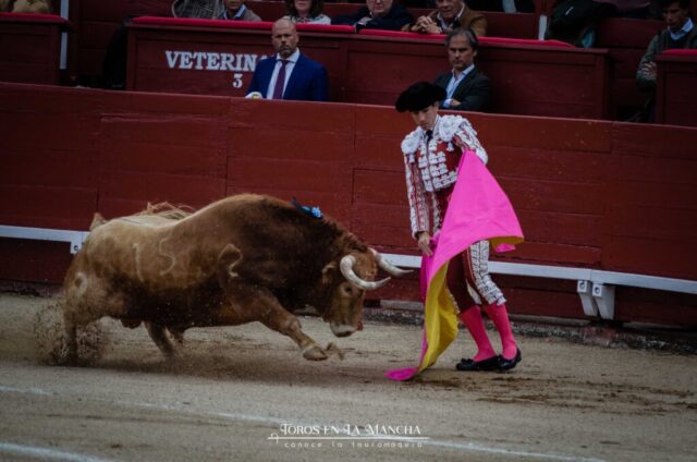 Frondlikepond DSC0176 2 1024x678 | Toros en la mancha