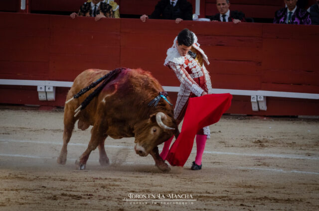 Frondlikepond DSC0351 2 1024x678 | Toros en la mancha