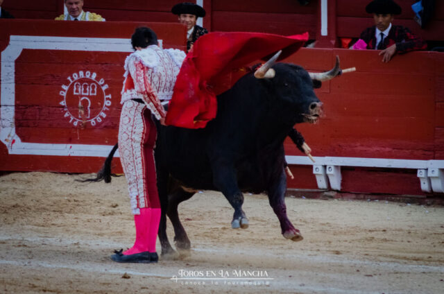 Frondlikepond DSC0587 2 1024x678 | Toros en la mancha