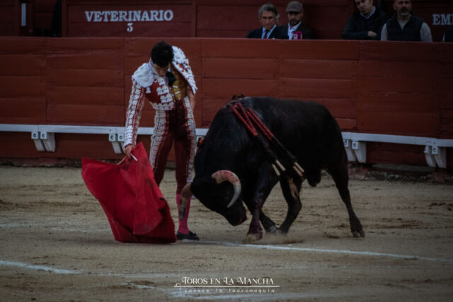 DSC_0051-2 DSC 0051 2 1024x683 | Toros en la mancha