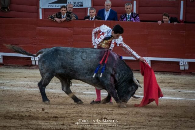 DSC_0102-2 DSC 0102 2 1024x683 | Toros en la mancha
