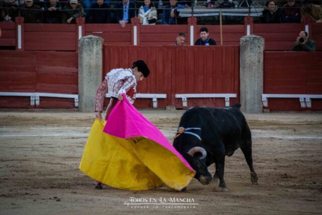 DSC_0150-2 DSC 0150 2 1024x683 | Toros en la mancha