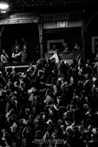 DSC_0174-2 DSC 0174 2 683x1024 | Toros en la mancha