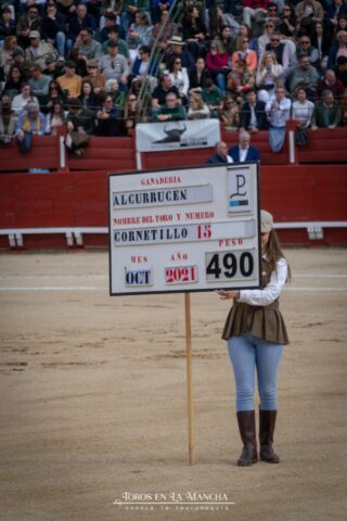 DSC_0889-2 DSC 0889 2 683x1024 | Toros en la mancha