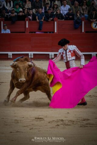 DSC_0915-2 DSC 0915 2 683x1024 | Toros en la mancha