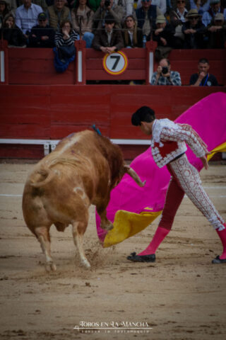 DSC_0919-2 DSC 0919 2 683x1024 | Toros en la mancha