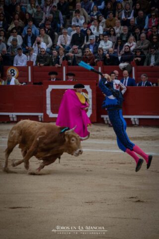 DSC_0926-2 DSC 0926 2 683x1024 | Toros en la mancha