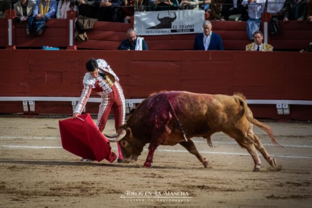 DSC_0938-2 DSC 0938 2 1024x683 | Toros en la mancha