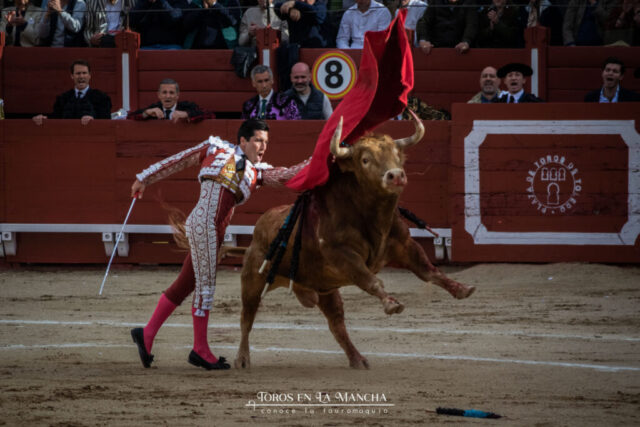DSC_0957-2 DSC 0957 2 1024x683 | Toros en la mancha