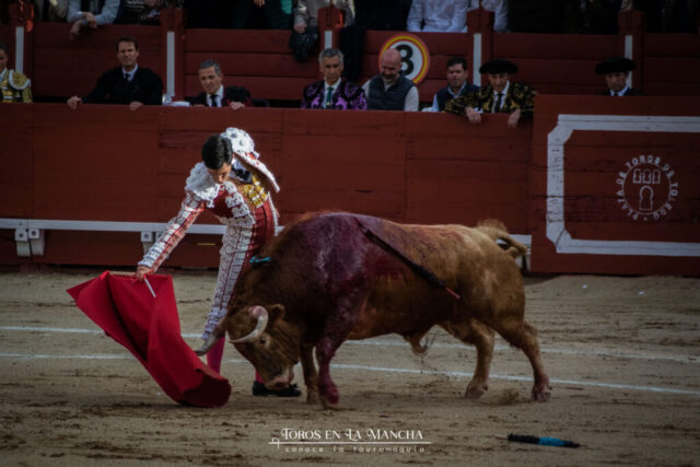 DSC_0961-2 DSC 0961 2 1024x683 | Toros en la mancha