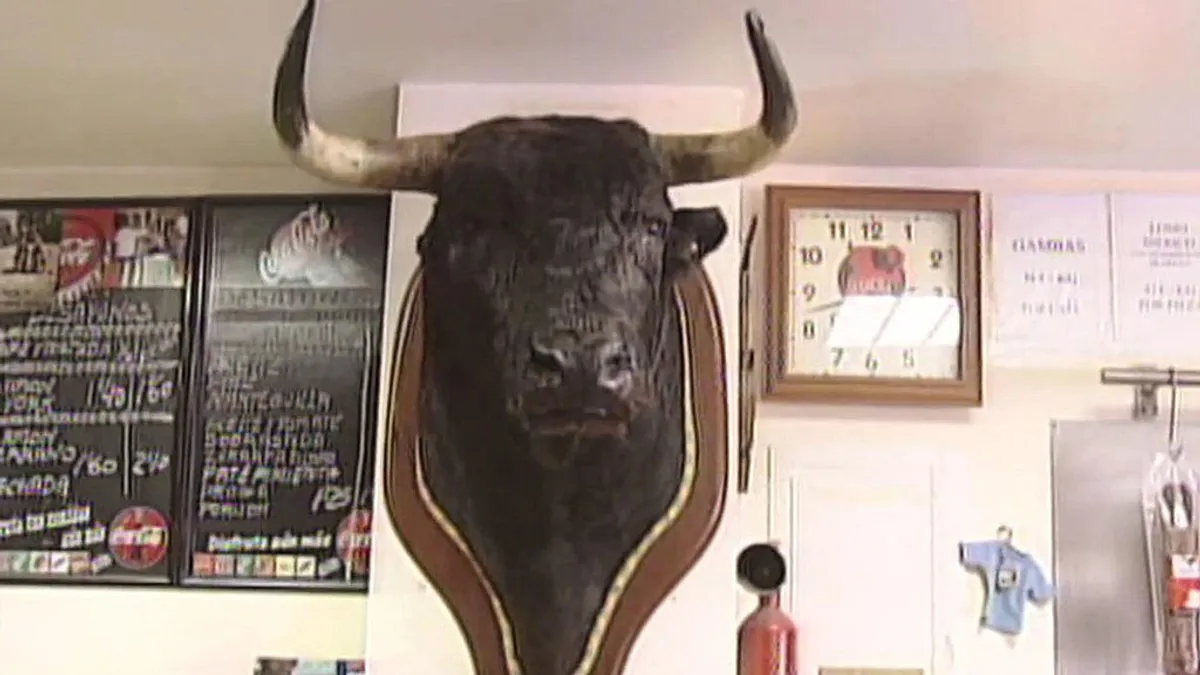 El toro que mató a Paquirri 2 Imagen de la cabeza disecada del toro Avispado.