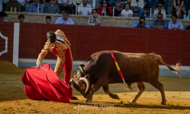 DSC0214 1024x618 | Toros en la mancha