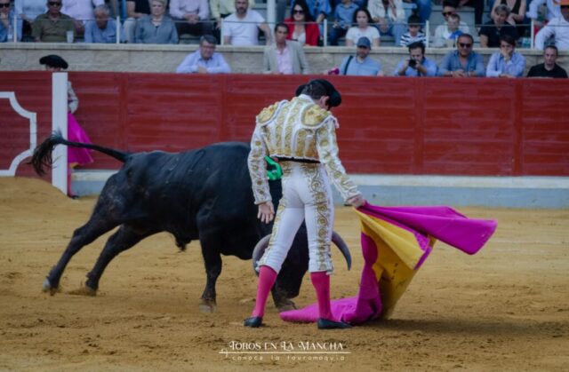DSC0327 1024x671 | Toros en la mancha
