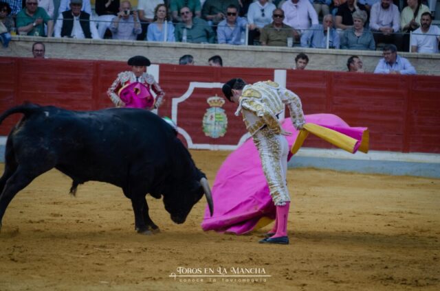 DSC0329 1024x678 | Toros en la mancha