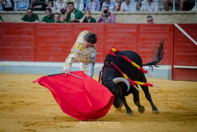 DSC0353 1024x689 | Toros en la mancha
