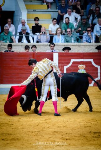 DSC0372 692x1024 | Toros en la mancha