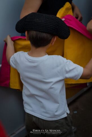 DSC0527 693x1024 | Toros en la mancha