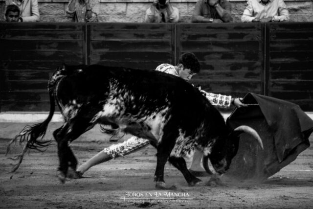 DSC 0283 1024x683 | Toros en la mancha