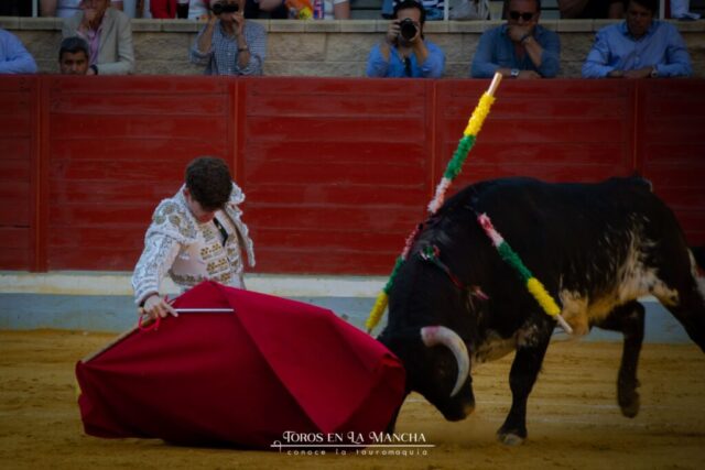 DSC 0285 1024x683 | Toros en la mancha