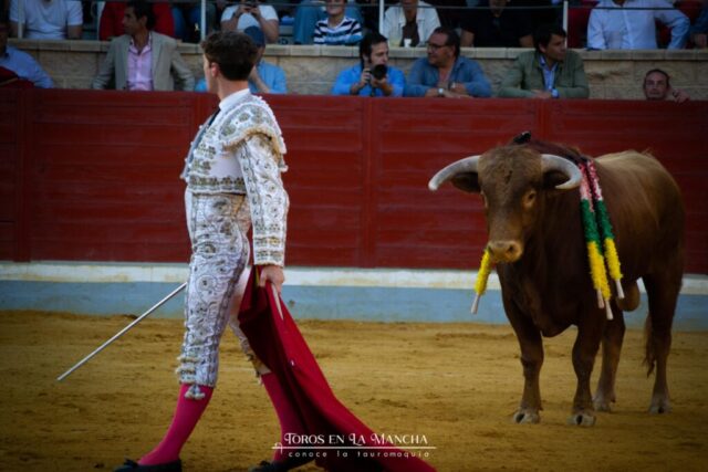 DSC 0364 1024x683 | Toros en la mancha