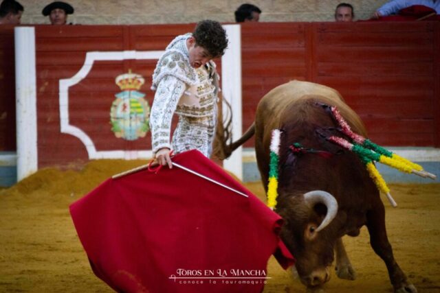 DSC 0377 1024x683 | Toros en la mancha